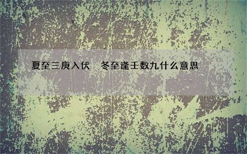 夏至三庚入伏 冬至逢壬数九什么意思